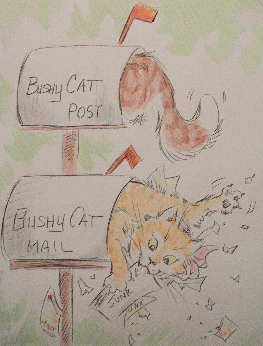 Email us :D We love mail. One Bushy Cat has appeared. It remains to be seen if I can figure out how to actually make a website. Personally, I'd rather have a nap in the sun, far away from the aggravations of the internet.