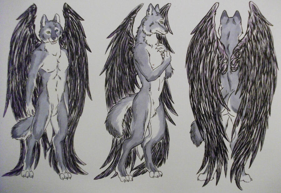 I draw a lot of commissions. This one was done with ink and prismacolors. Something like this will run around 140$. Single Chara One Bushy Cat has appeared. It remains to be seen if I can figure out how to actually make a website. Personally, I'd rather have a nap in the sun, far away from the aggravations of the internet.