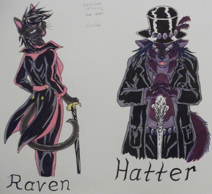 I draw a lot of commissions. This one was done with ink and prismacolors. Something like this will run around 140$. Single Chara One Bushy Cat has appeared. It remains to be seen if I can figure out how to actually make a website. Personally, I'd rather have a nap in the sun, far away from the aggravations of the internet.