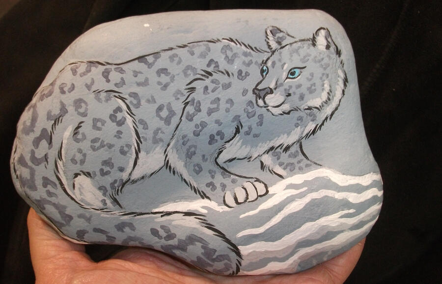 One Bushy Cat has appeared. It remains to be seen if I can figure out how to actually make a website. Personally, I'd rather have a nap in the sun, far away from the aggravations of the internet.