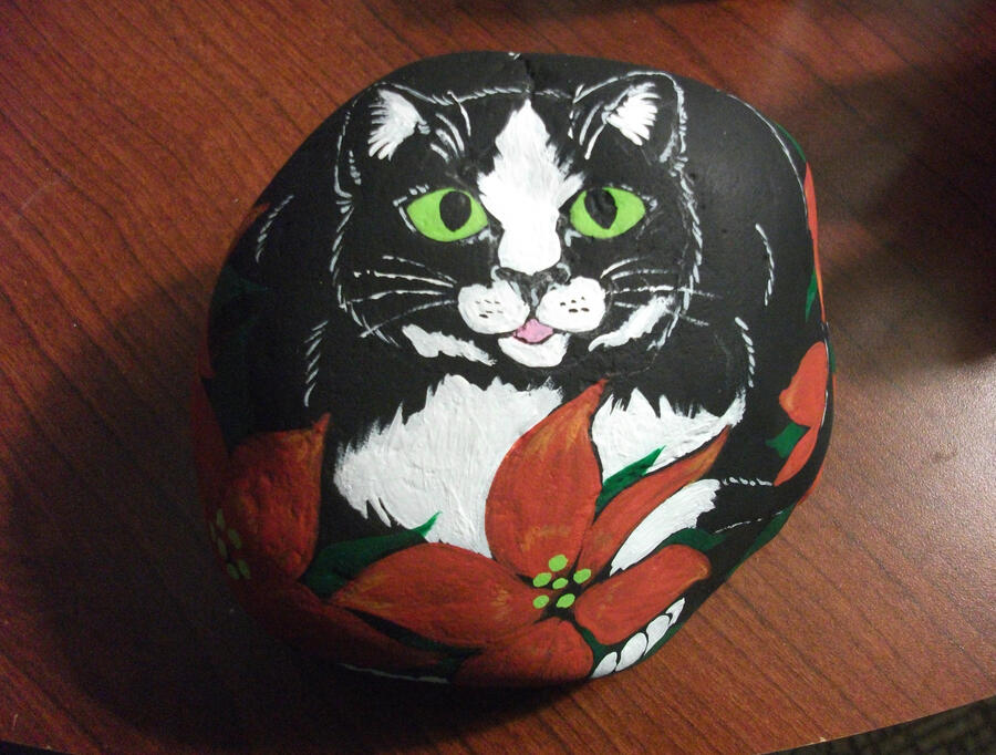 One Bushy Cat has appeared. It remains to be seen if I can figure out how to actually make a website. Personally, I'd rather have a nap in the sun, far away from the aggravations of the internet.