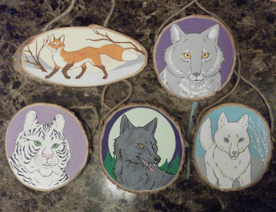 One Bushy Cat has appeared. It remains to be seen if I can figure out how to actually make a website. Personally, I'd rather have a nap in the sun, far away from the aggravations of the internet.